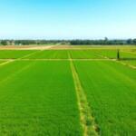 Conversión de m2 a hectáreas: guía para parcelas y fincas